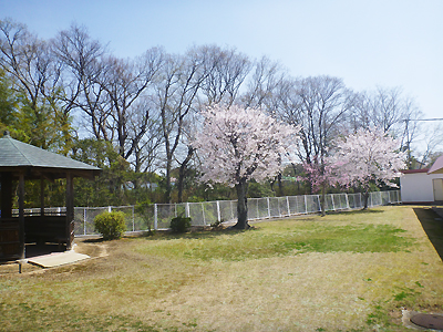 萬寿園　ファンテン